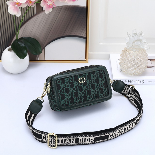 DlOR Handbags 073